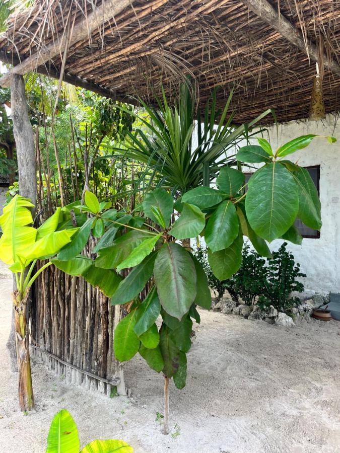 Karanga Bungalows Michamvi Pokoj fotografie